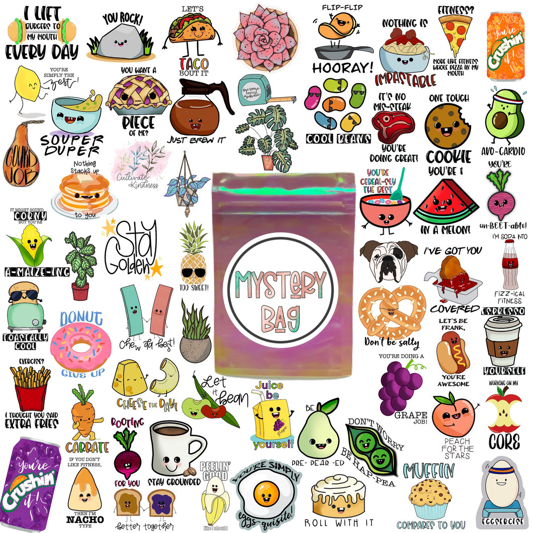 Mystery Grab Bag Surprise Gift Quality Sticker Pack Vinyl Labels